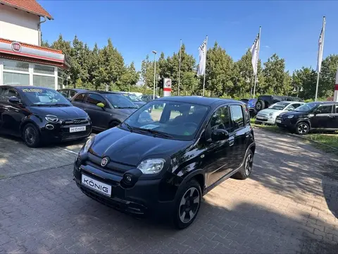 Annonce FIAT PANDA Essence 2023 d'occasion 