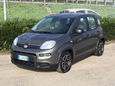 Used FIAT PANDA Hybrid 2022 Ad 