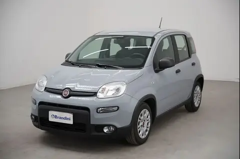 Used FIAT PANDA Hybrid 2022 Ad 