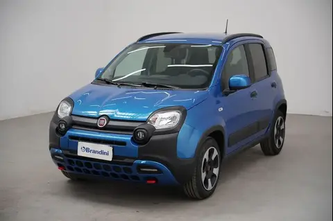 Used FIAT PANDA Hybrid 2023 Ad 