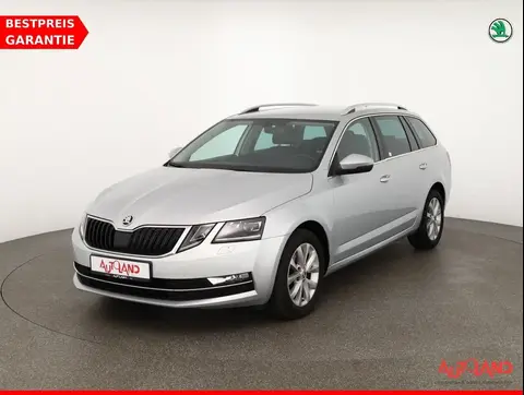 Used SKODA OCTAVIA Diesel 2019 Ad 