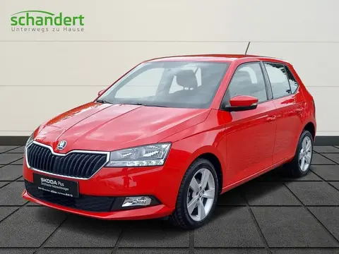 Used SKODA FABIA Petrol 2019 Ad 