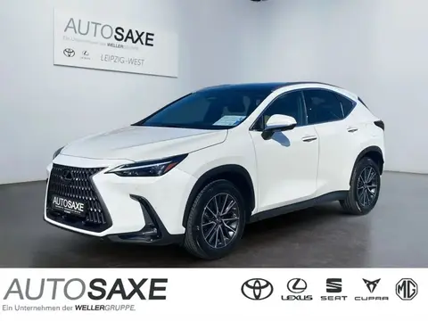 Used LEXUS NX Hybrid 2022 Ad 