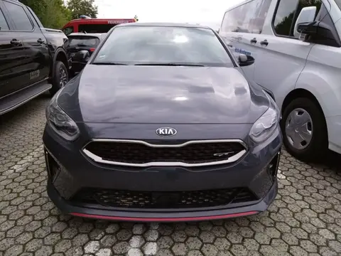 Used KIA CEED Petrol 2022 Ad 