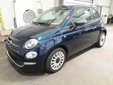 Used FIAT 500 Petrol 2023 Ad 