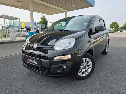 Used FIAT PANDA Petrol 2019 Ad 