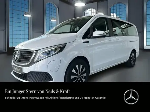 Used MERCEDES-BENZ EQV Not specified 2021 Ad 