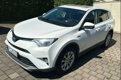 Used TOYOTA RAV4 Hybrid 2016 Ad Germany