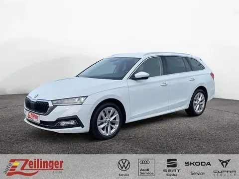 Annonce SKODA OCTAVIA Essence 2021 d'occasion 