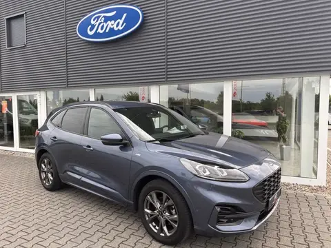 Used FORD KUGA Diesel 2020 Ad 