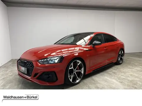 Annonce AUDI RS5 Essence 2024 d'occasion Allemagne