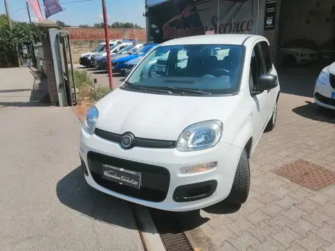 Used FIAT PANDA Petrol 2019 Ad 