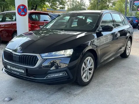 Used SKODA OCTAVIA Diesel 2020 Ad 