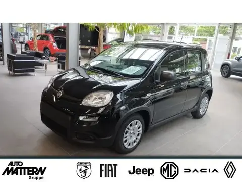 Used FIAT PANDA Petrol 2024 Ad 