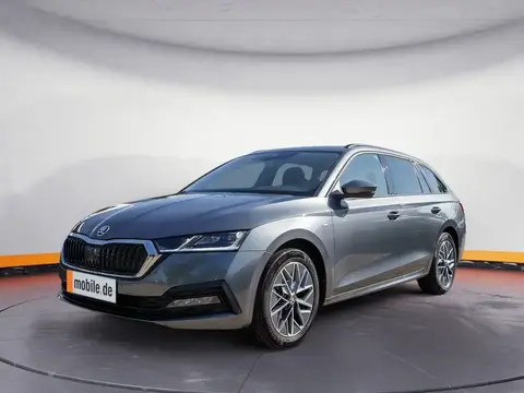 Annonce SKODA OCTAVIA Diesel 2023 d'occasion 