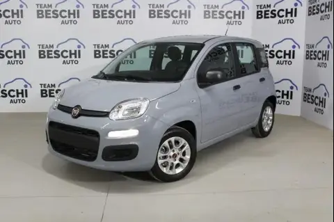 Annonce FIAT PANDA Hybride 2022 d'occasion 