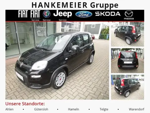 Used FIAT PANDA Hybrid 2024 Ad 