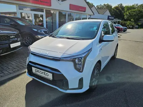 Used KIA PICANTO Petrol 2024 Ad 