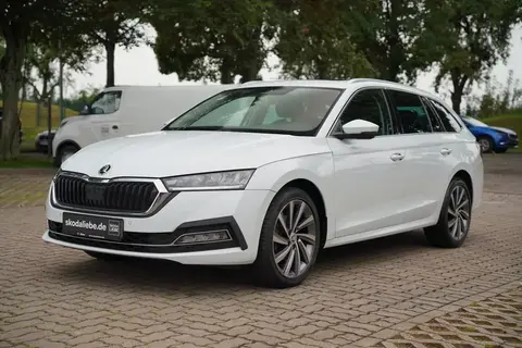 Used SKODA OCTAVIA Petrol 2021 Ad 