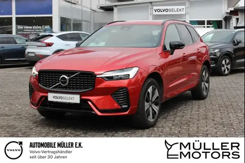 Annonce VOLVO XC60 Hybride 2023 d'occasion 