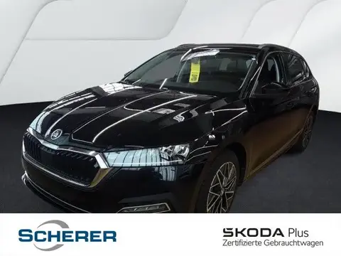 Used SKODA OCTAVIA Diesel 2024 Ad 