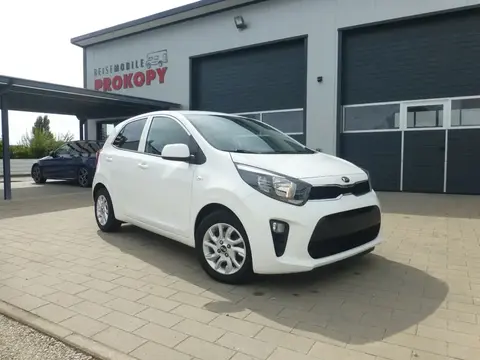 Annonce KIA PICANTO Essence 2020 d'occasion 