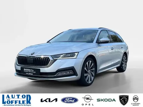 Used SKODA OCTAVIA Diesel 2021 Ad 