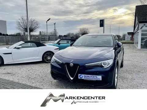 Used ALFA ROMEO STELVIO Diesel 2019 Ad 