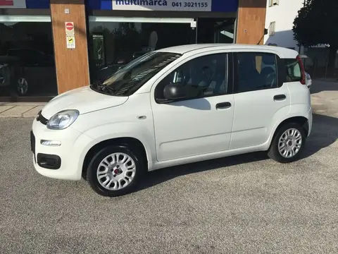 Used FIAT PANDA Petrol 2019 Ad 