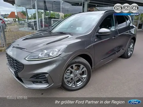 Used FORD KUGA Hybrid 2021 Ad 