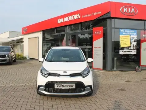 Used KIA PICANTO Petrol 2021 Ad 