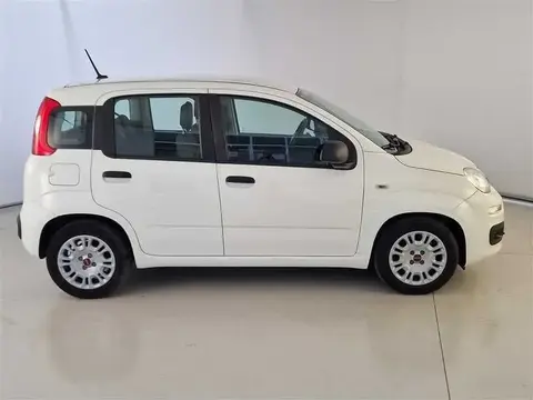 Used FIAT PANDA Hybrid 2021 Ad 