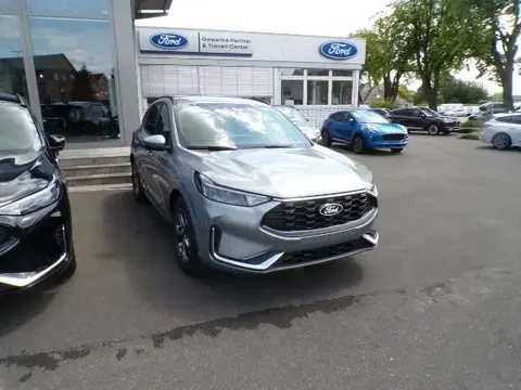 Annonce FORD KUGA Essence 2024 d'occasion 