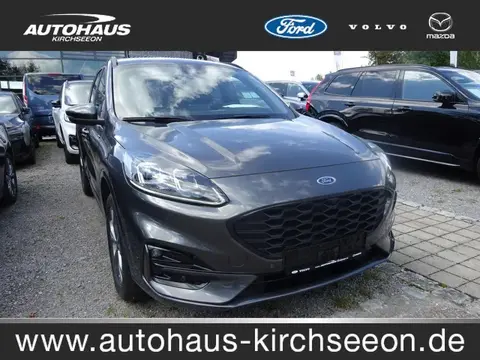 Used FORD KUGA Hybrid 2024 Ad 