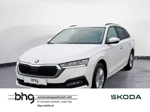 Used SKODA OCTAVIA Diesel 2023 Ad 