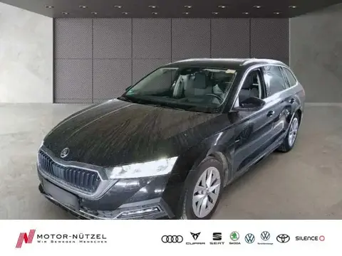 Annonce SKODA OCTAVIA Diesel 2021 d'occasion 