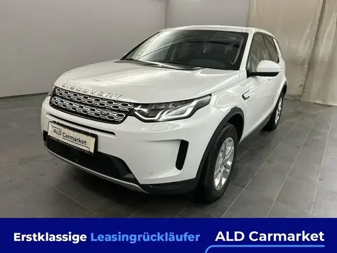 Used LAND ROVER DISCOVERY Hybrid 2021 Ad 