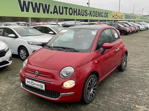 Used FIAT 500 Petrol 2023 Ad 