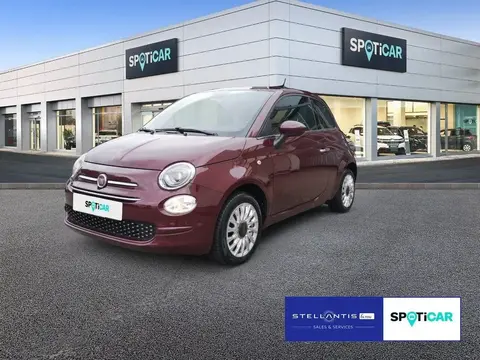 Used FIAT 500 Petrol 2019 Ad 