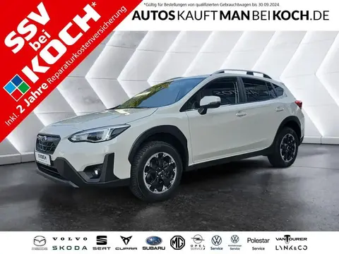 Annonce SUBARU XV Essence 2023 d'occasion 