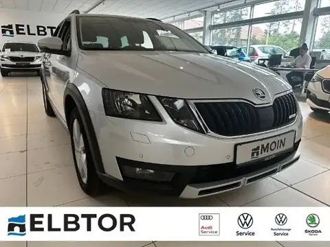 Annonce SKODA OCTAVIA Diesel 2019 d'occasion 