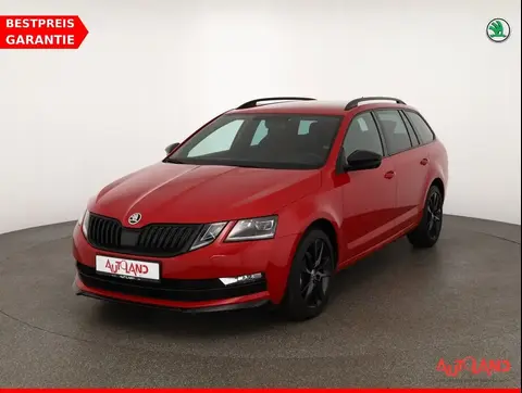 Annonce SKODA OCTAVIA Diesel 2019 d'occasion 