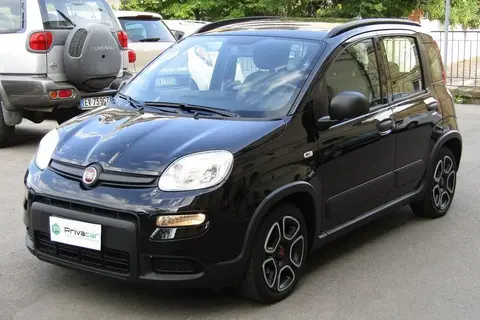 Used FIAT PANDA Hybrid 2021 Ad 