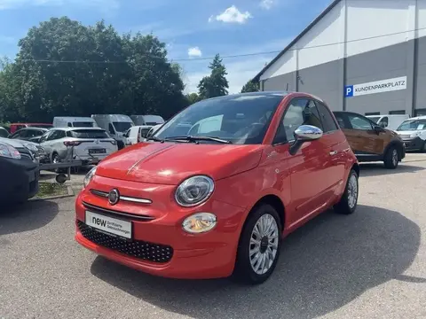 Used FIAT 500 Petrol 2022 Ad 