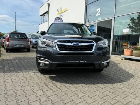 Used SUBARU FORESTER Petrol 2017 Ad 