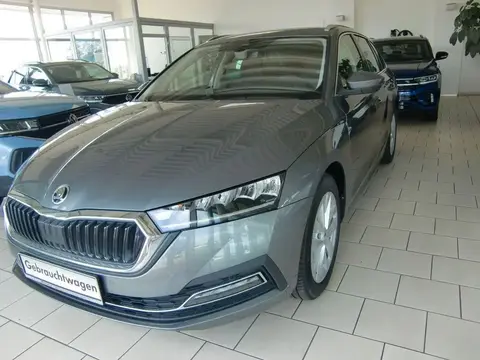 Used SKODA OCTAVIA Petrol 2024 Ad 