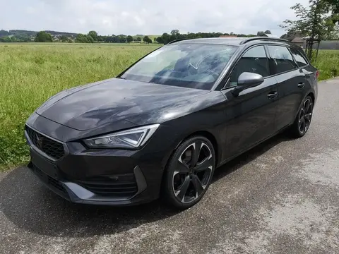 Used CUPRA LEON Petrol 2024 Ad 