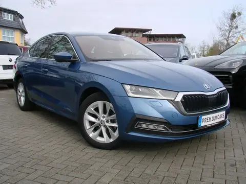 Annonce SKODA OCTAVIA Diesel 2020 d'occasion 