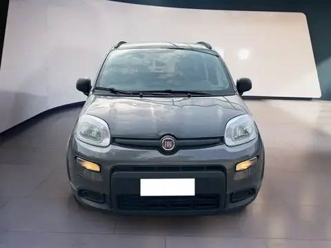 Used FIAT PANDA Hybrid 2021 Ad 