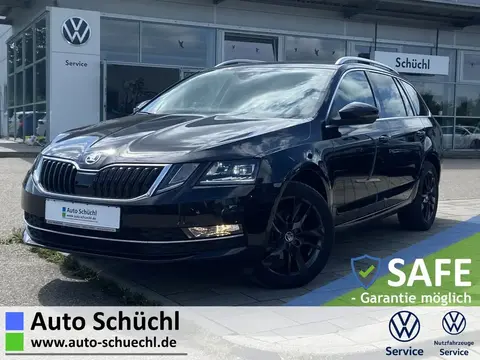 Used SKODA OCTAVIA Diesel 2019 Ad 